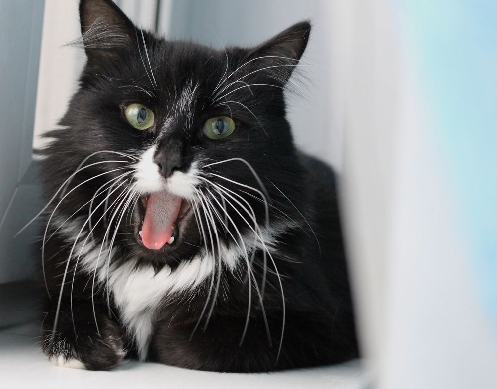 Photograph by Алёна Вороная