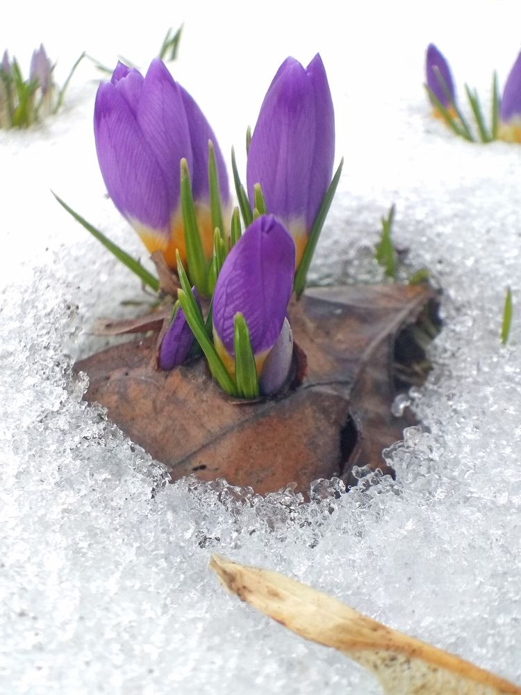 Photograph by Елена Щитова