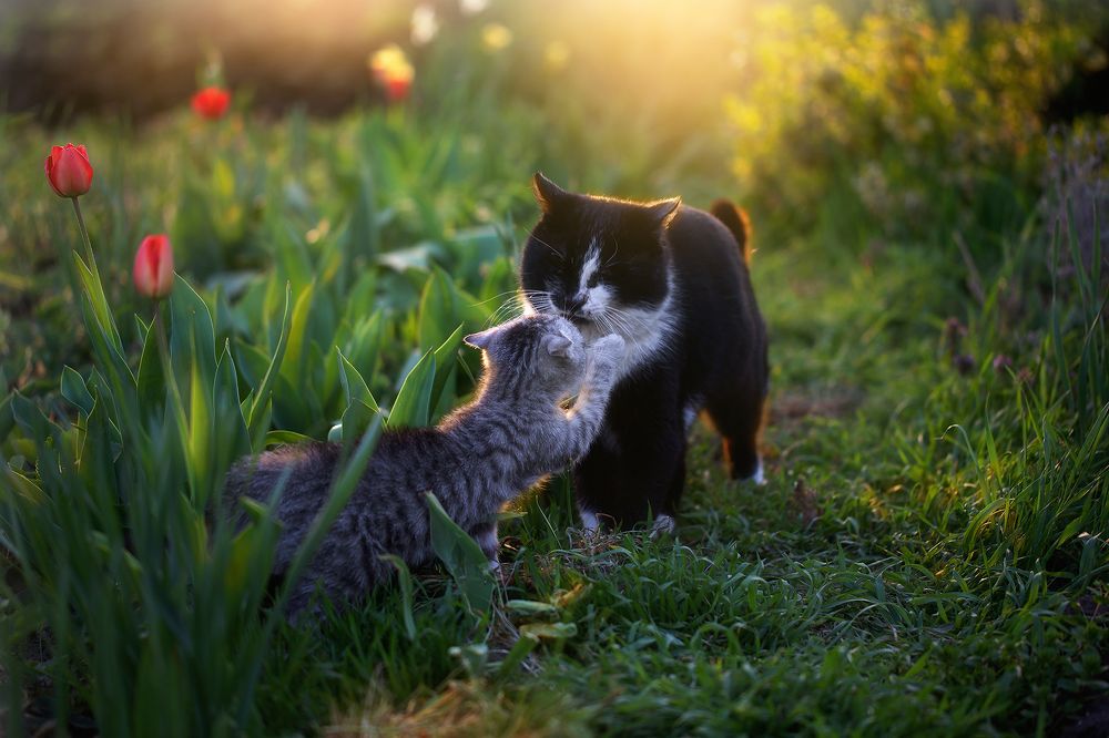 Знакомство