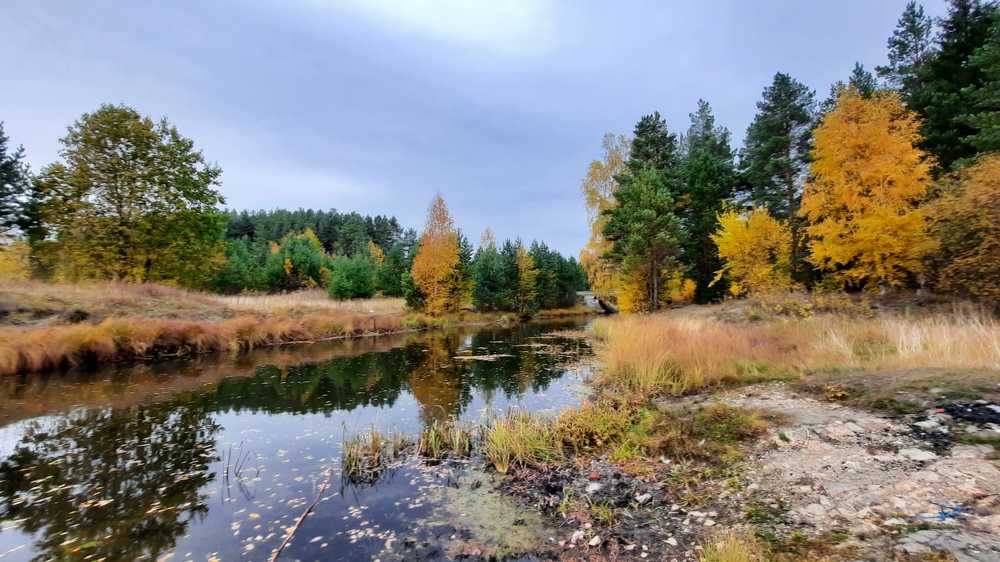 Photograph by Сергей Марков