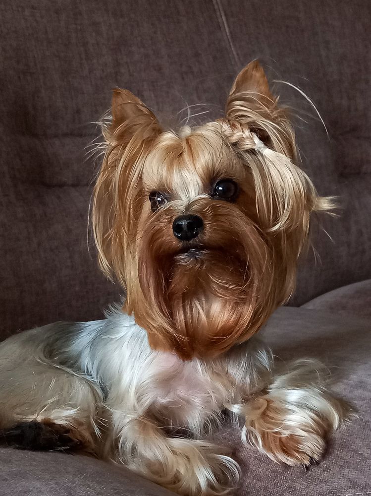 Photograph by Svetlana Yurasova