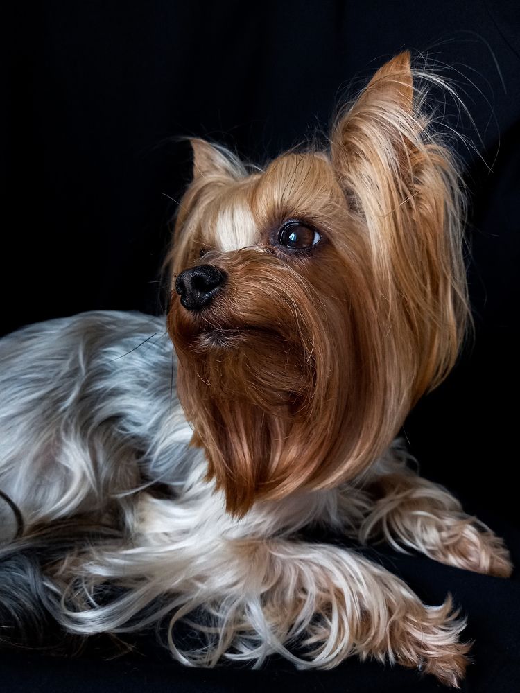 Photograph by Svetlana Yurasova