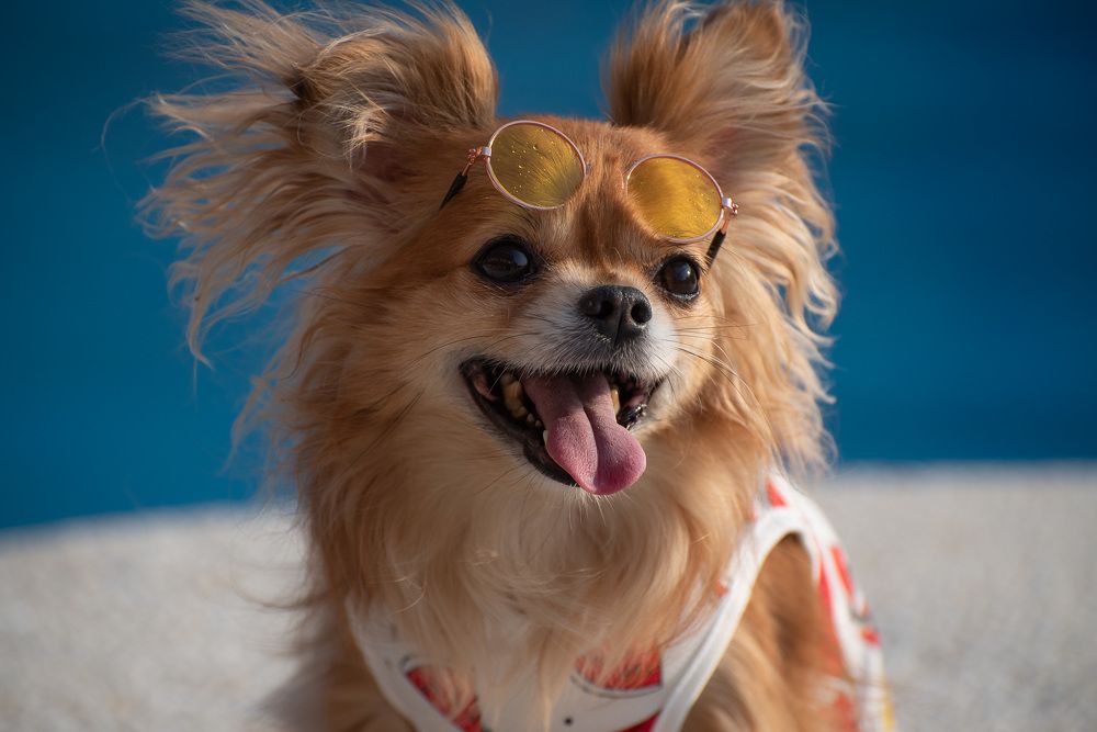 Photograph by Андрей Копылов