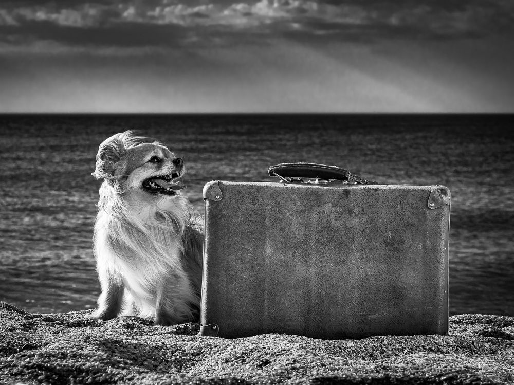 Photograph by Андрей Копылов