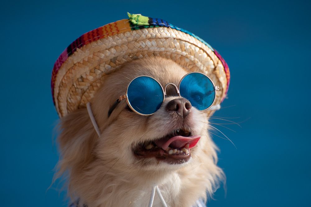 Photograph by Андрей Копылов