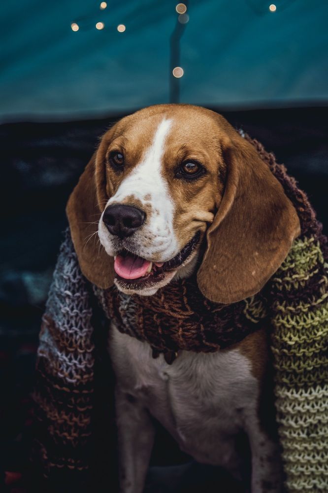 Photograph by Olga Nebelskaya