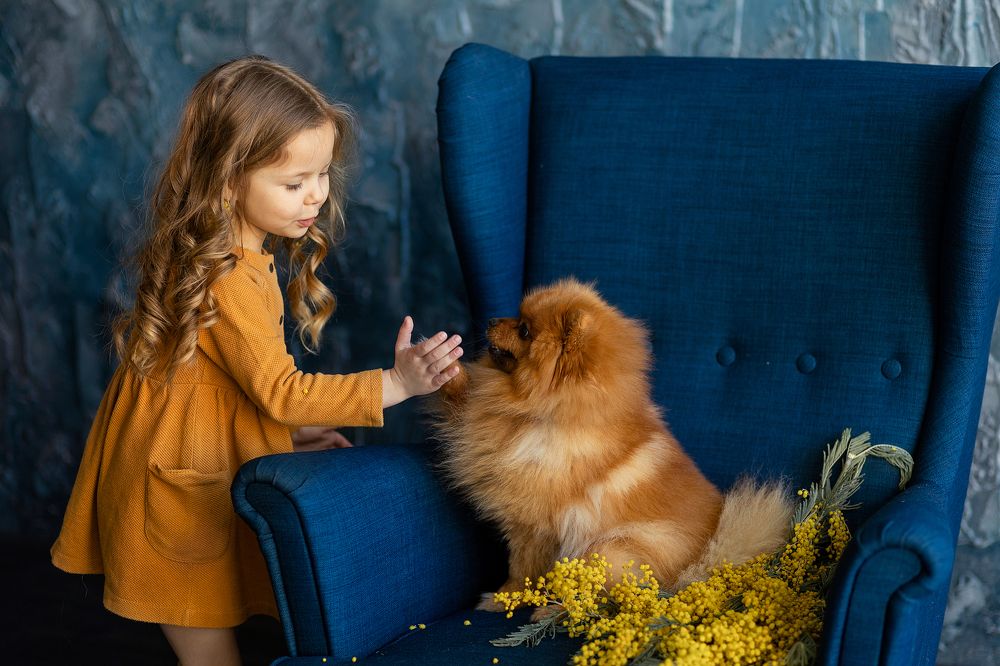 Photograph by Катерина Повидайко