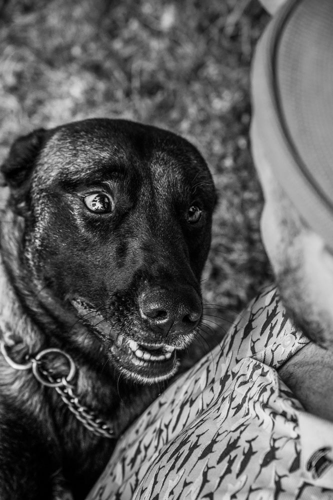 Photograph by Olga Nebelskaya