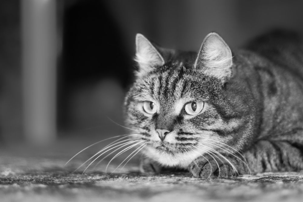 Photograph by Виктория Попкова