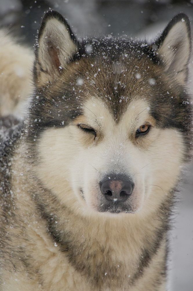 Photograph by Виктория Попкова