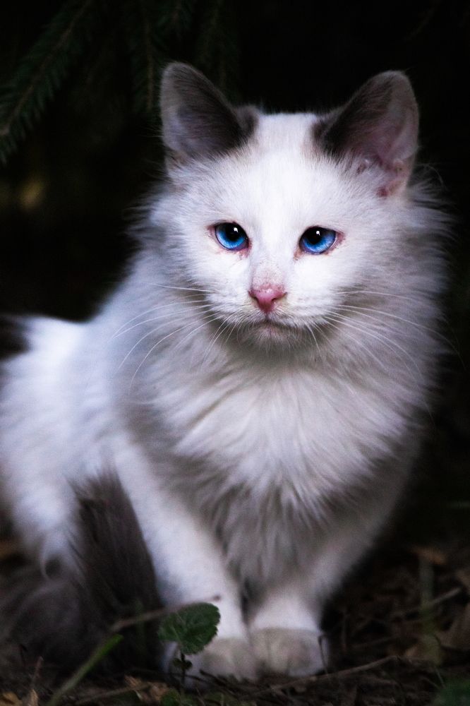 Photograph by Виктория Попкова