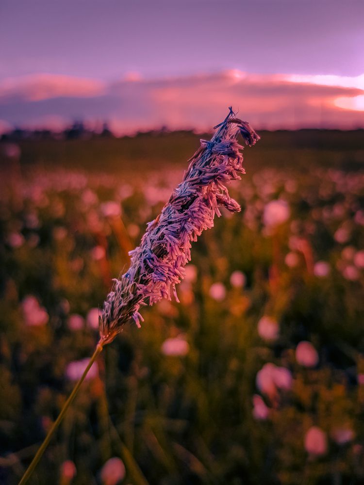 Photograph by Iгор Ситар