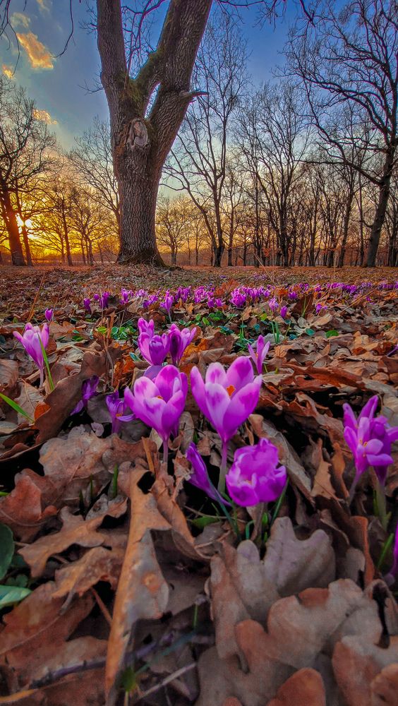 Photograph by Iгор Ситар