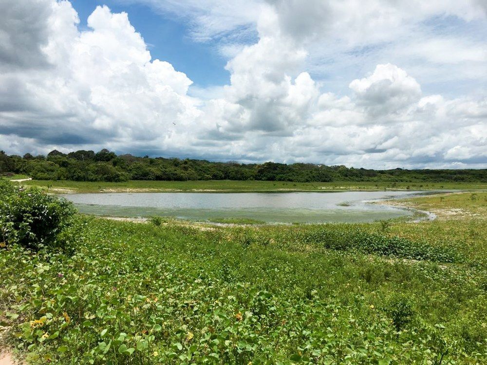 Paraíso