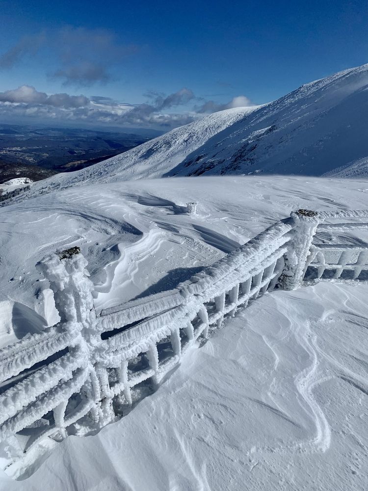 Photograph by Olga Tourtchinovitch