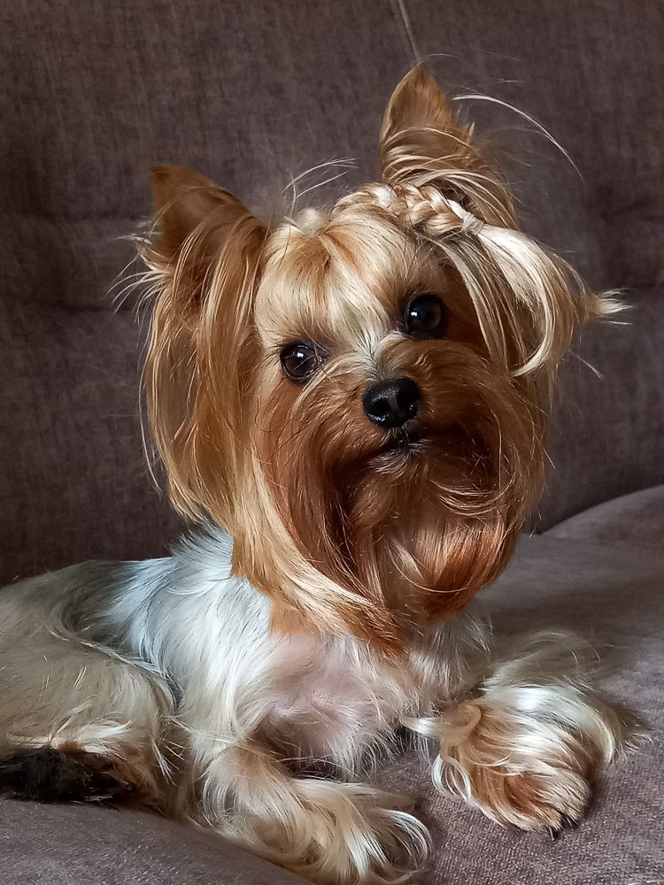 Photograph by Svetlana Yurasova