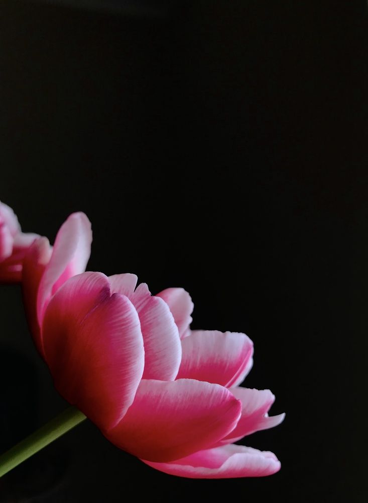 Photograph by Алёна Лихачёва