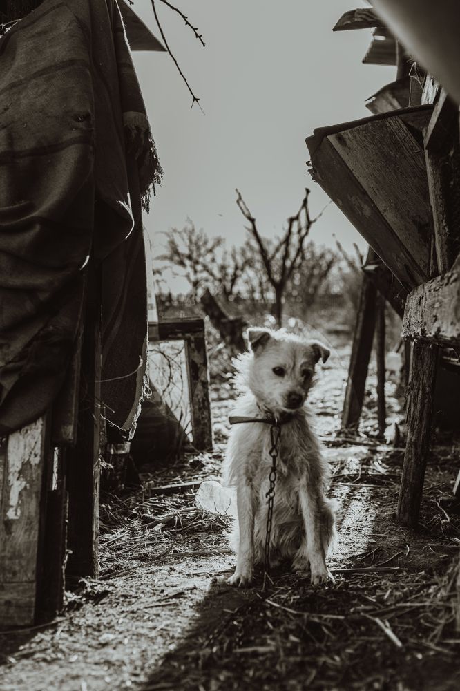 Photograph by Алёна Лихачёва