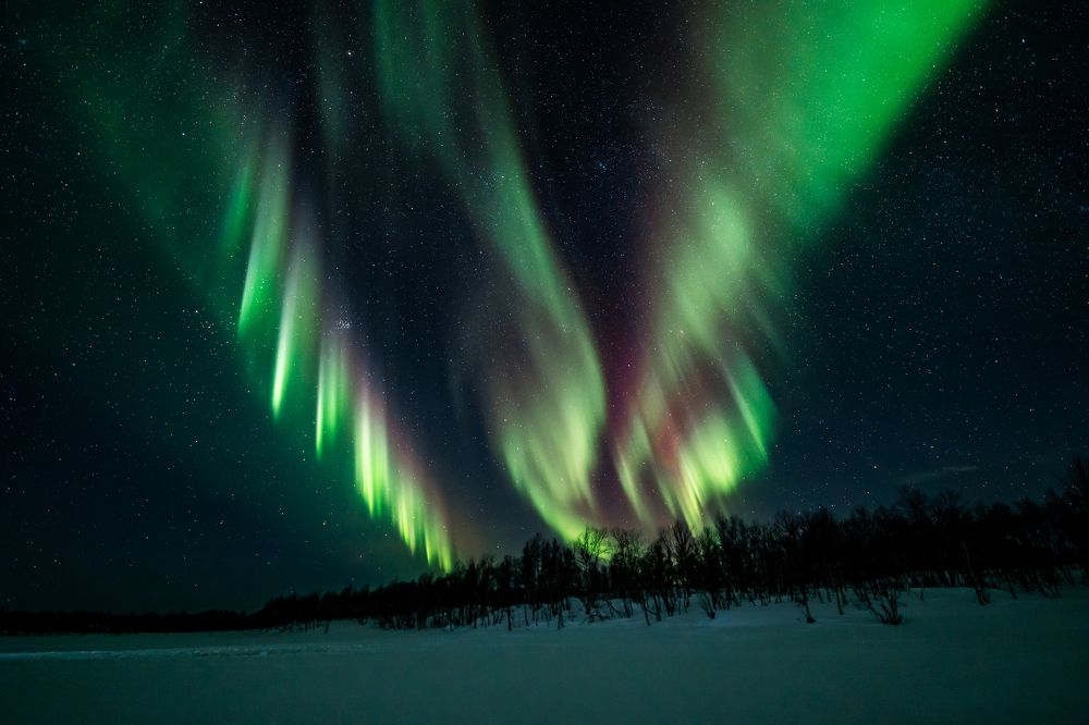 Photograph by Дмитрий Бойченко