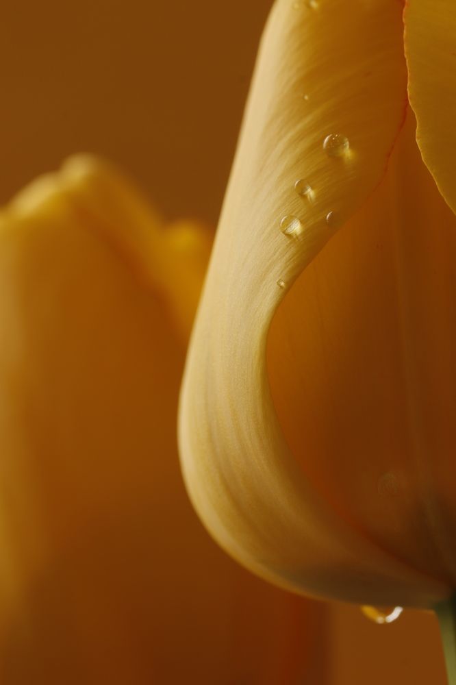 Photograph by Torres