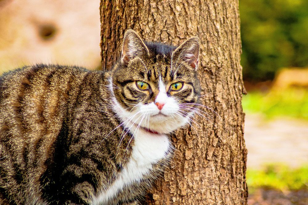 Photograph by Дима Захаров