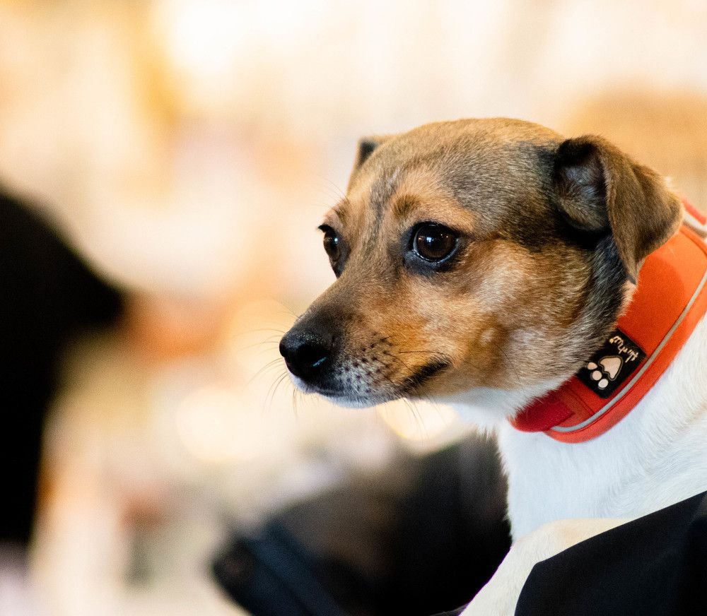 Photograph by Дима Захаров