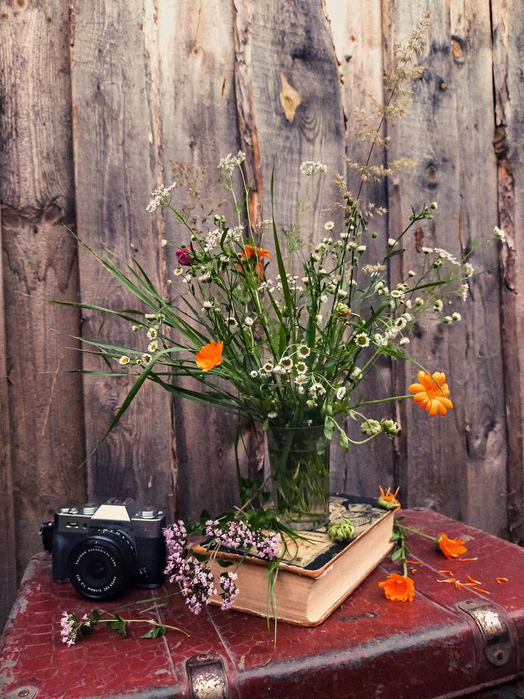 Photograph by Светлана Михеева