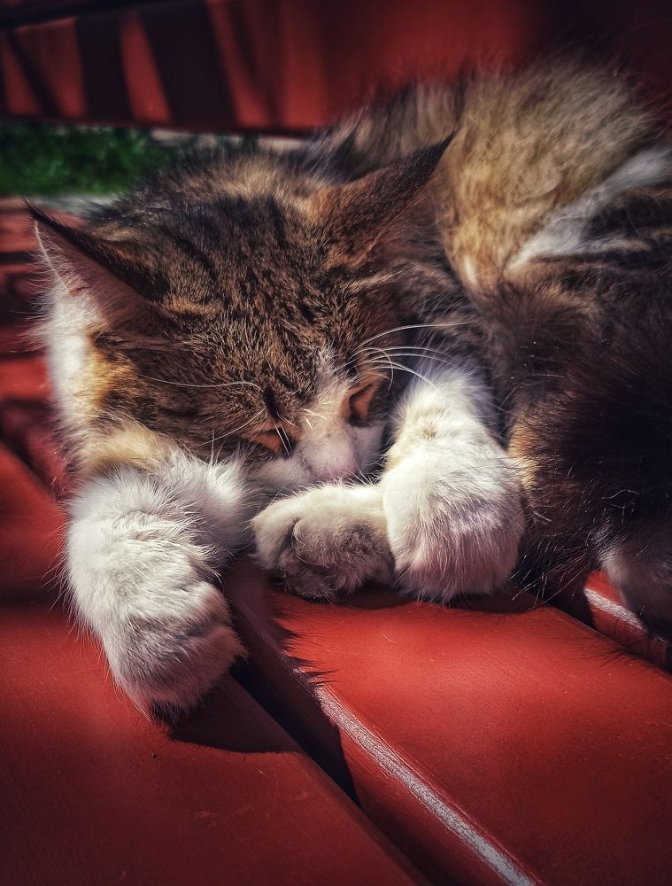 Photograph by Анна Валерьевна