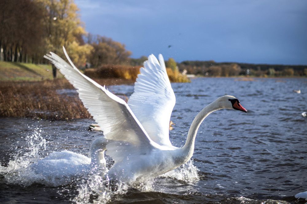 Photograph by Дима Захаров