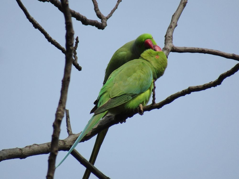 Photograph by Saurav Gupta