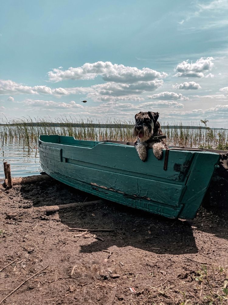 Photograph by Olivka Ulyanova