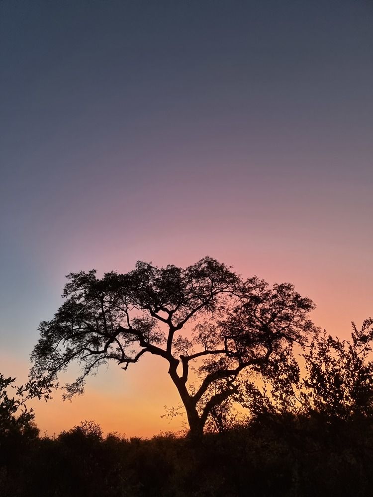 Photograph by Cheri Marks