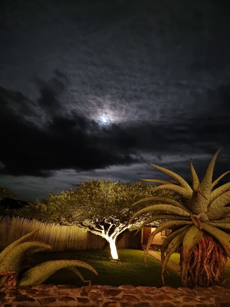 Photograph by Cheri Marks