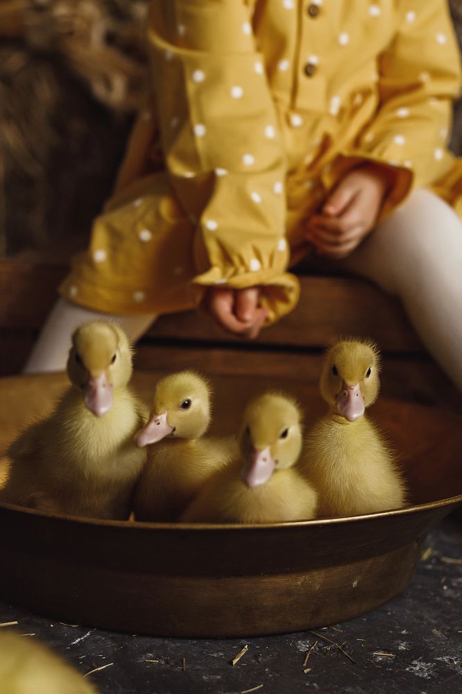 Photograph by Дарья Никитина