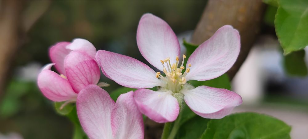 Photograph by Юрий Корсунцев