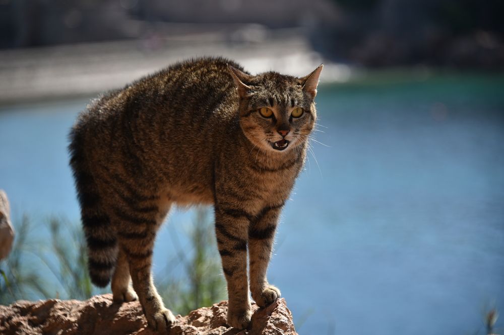 На охране своей территории