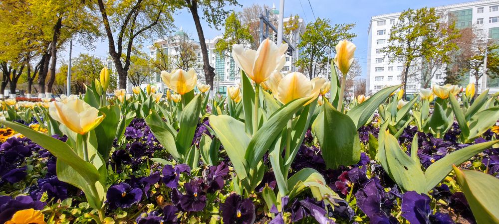 Photograph by Юрий Корсунцев