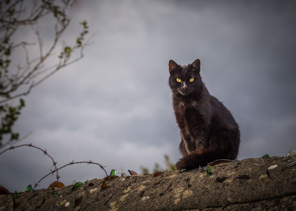 Photograph by Anatoly Chomko