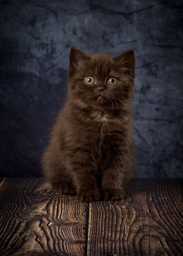 Photograph by Anatoly Chomko