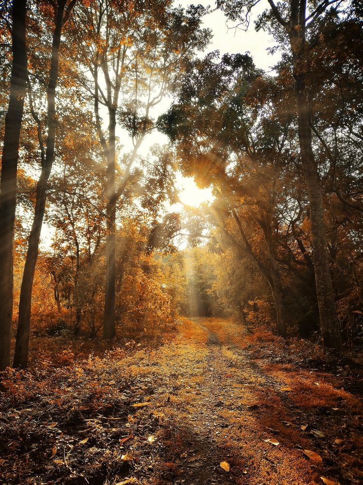 Photograph by Sumeet Honnakorennavar