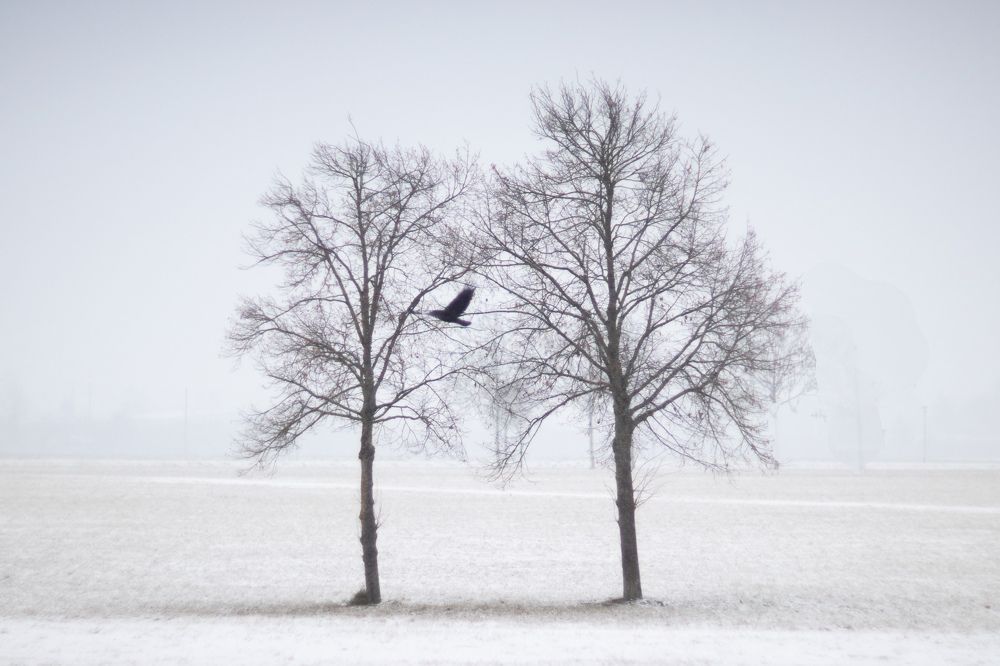 Photograph by Ксения Лаевская