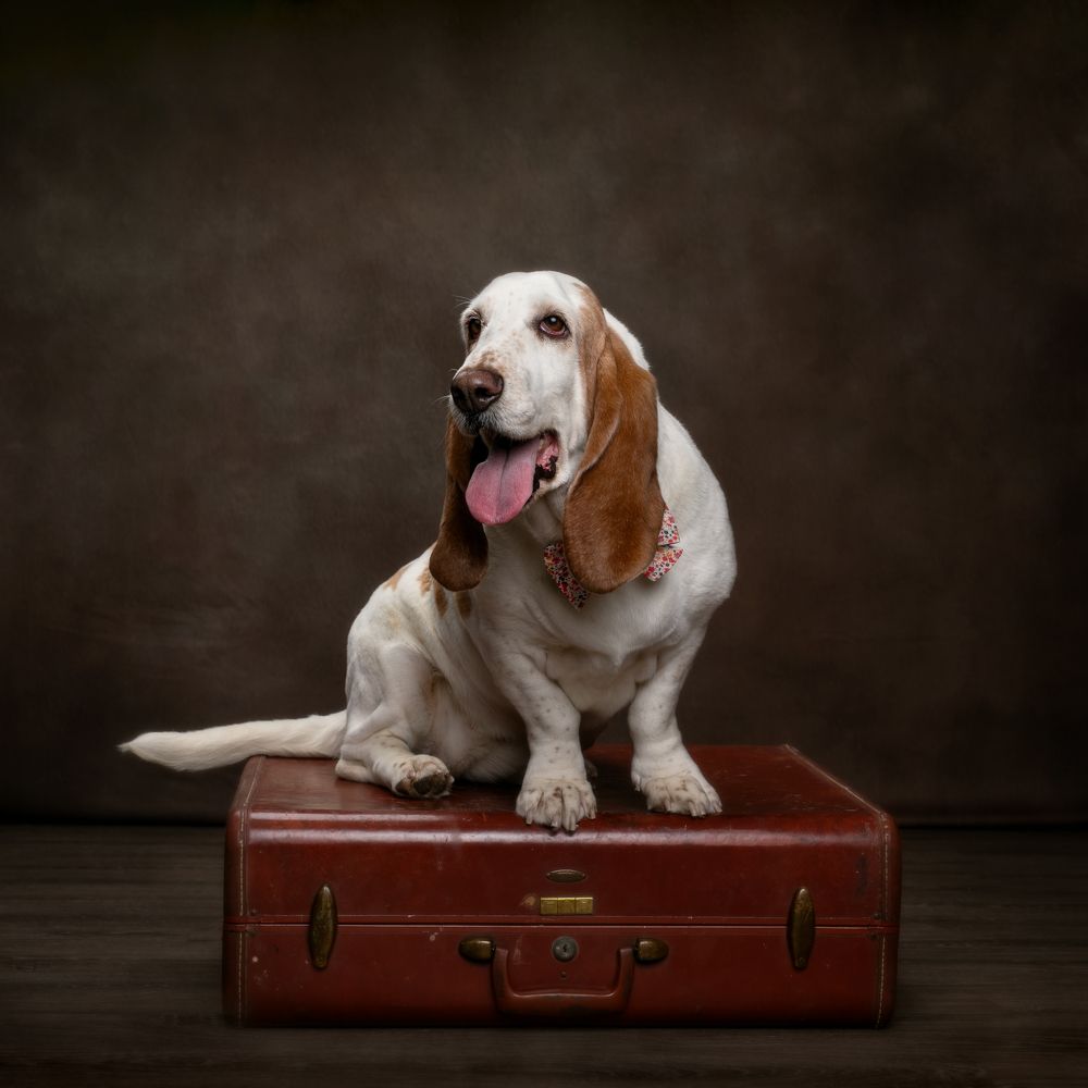 Photograph by Angie Perisse