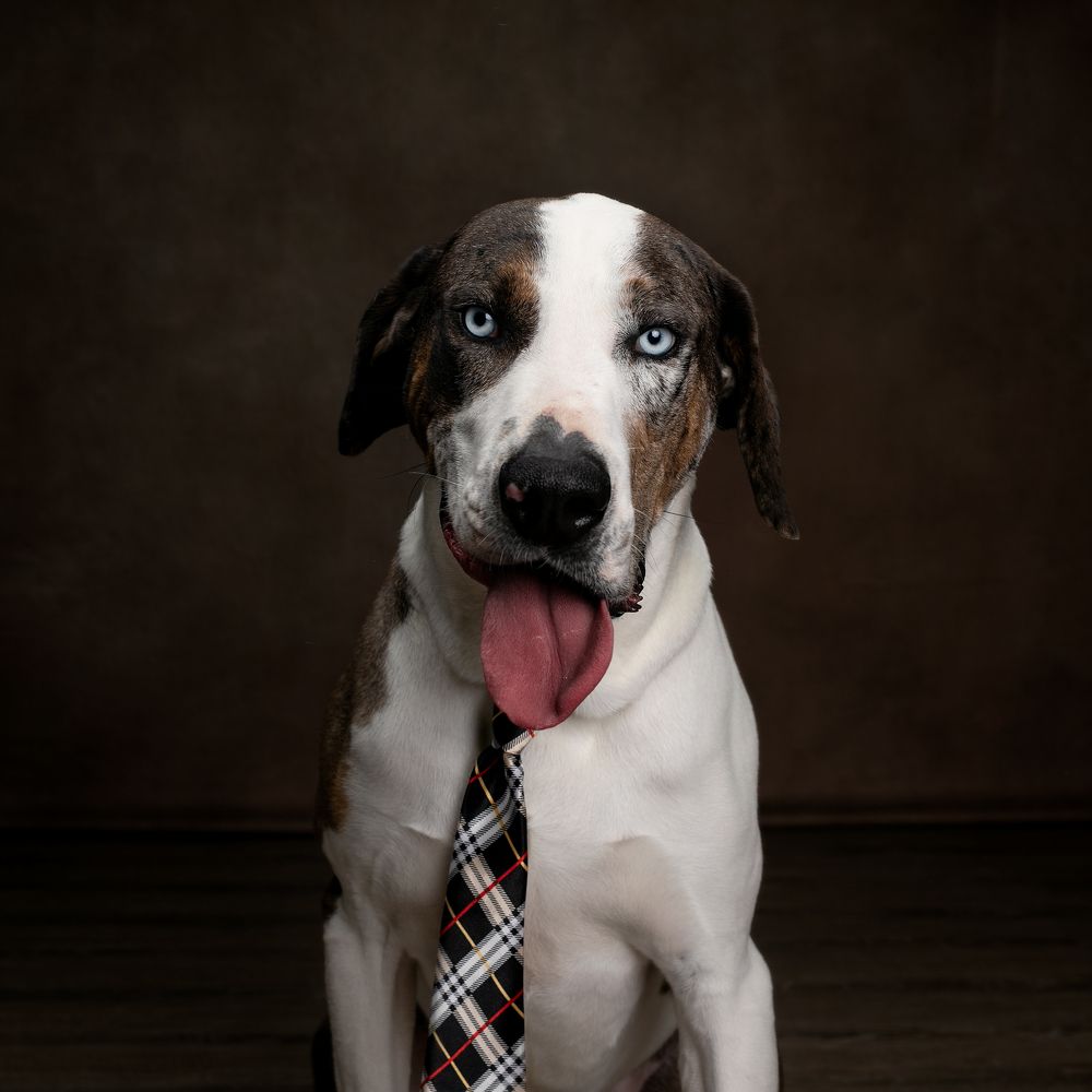 Photograph by Angie Perisse