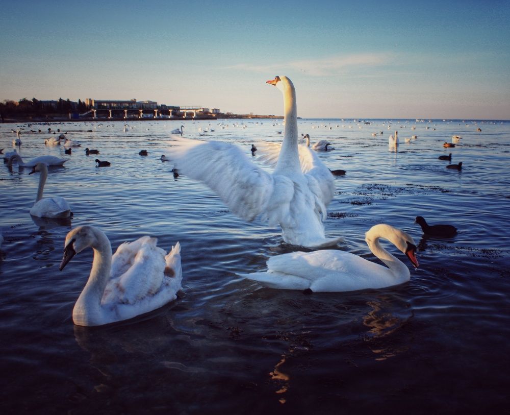 Photograph by Анна Валерьевна