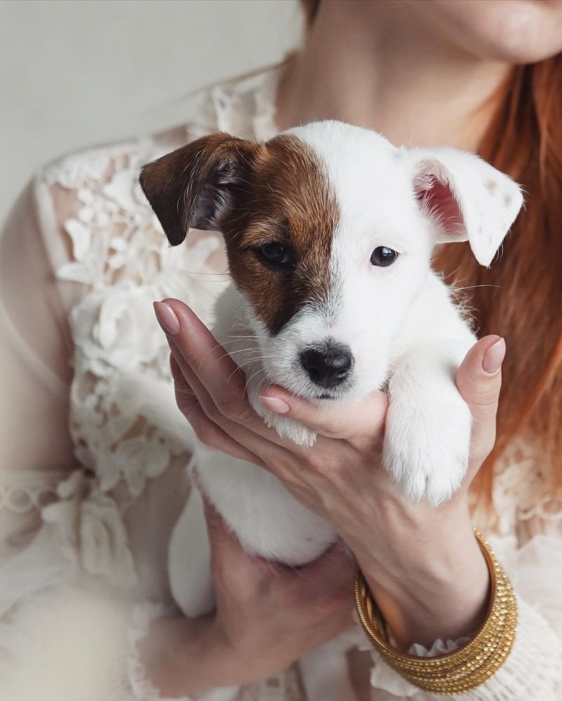 Photograph by Renata Frolkina