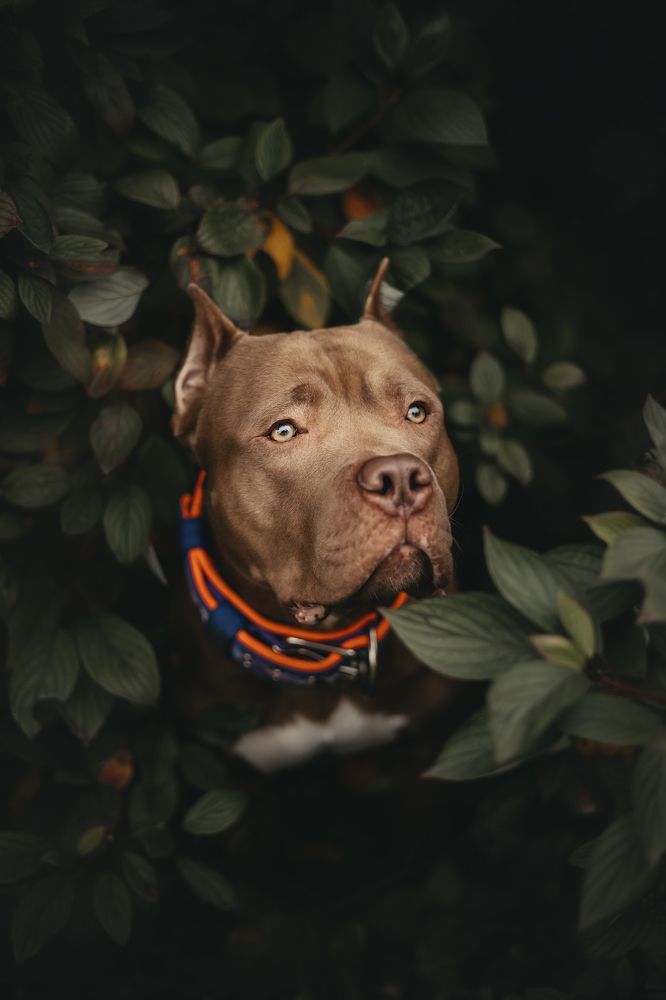 Фотография автора Вика Сердюкова