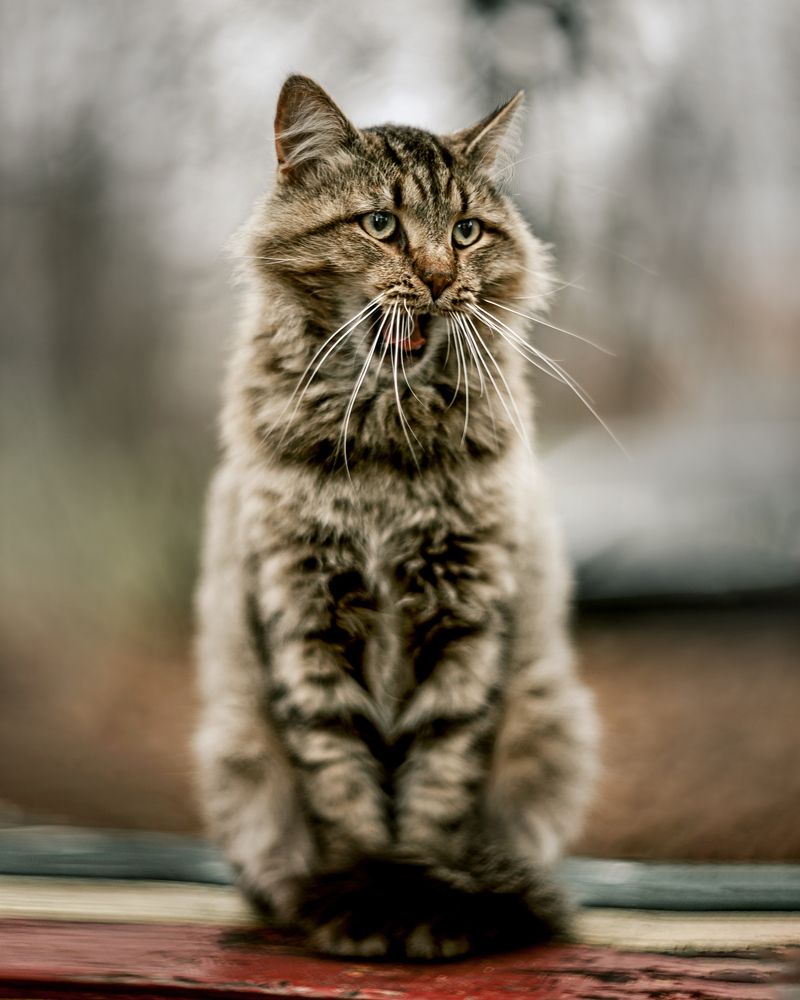 Photograph by Александр Соловьев