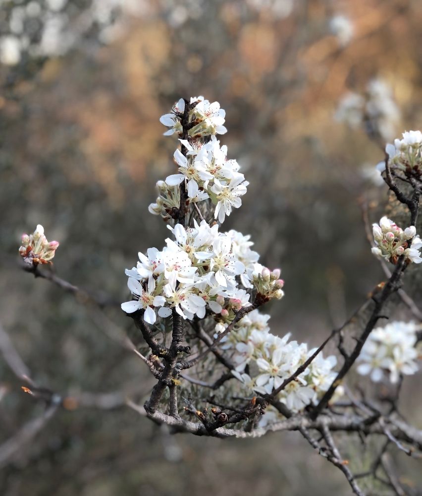 Photograph by Sidsel Tonnessen