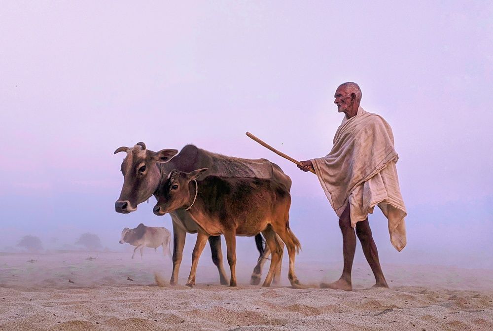 Фотография автора PRADIPTAMOY PAUL