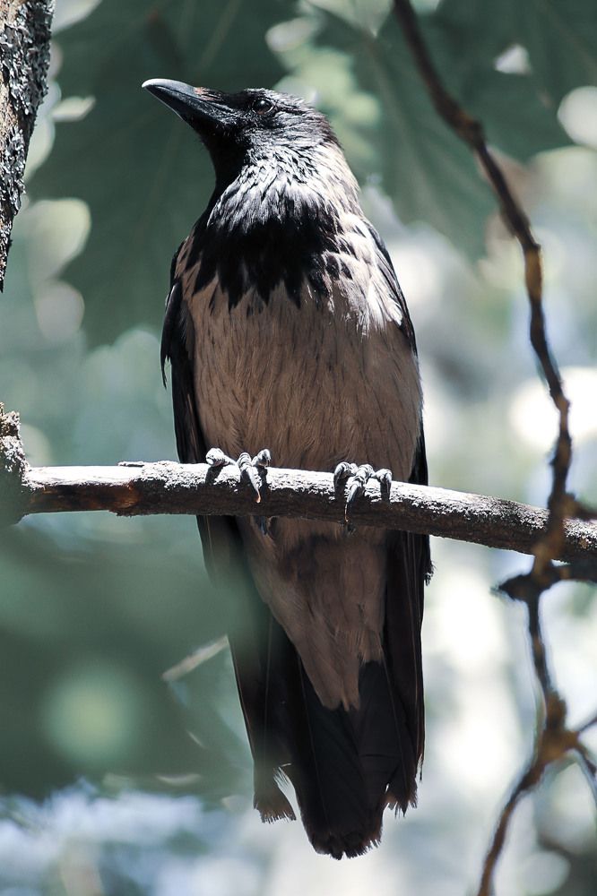 Photograph by Светлана Федотова